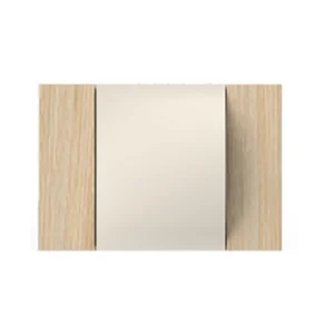 Toma NEW AIR BTicino Living NOW negro (Placa eléctrica excluida)